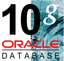 Oracle 10g database